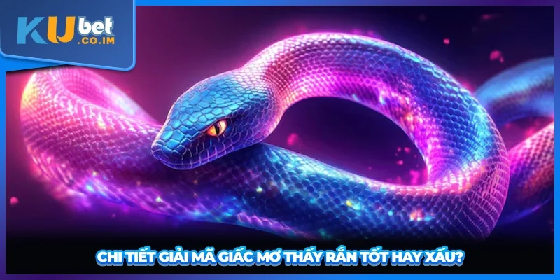 Chi tiết giải mã giấc mơ thấy rắn tốt hay xấu?