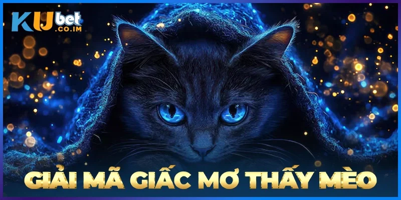 Giải Mã Giấc Mơ Thấy Mèo