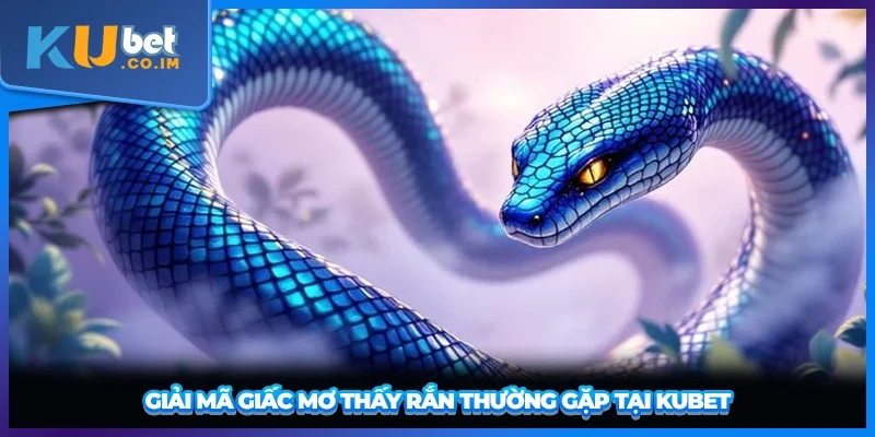 Giải mã giấc mơ thấy rắn thường gặp tại KUBET