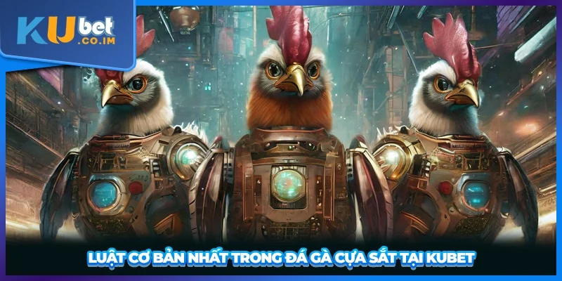 Luật cơ bản nhất trong đá gà cựa sắt tại KUBET