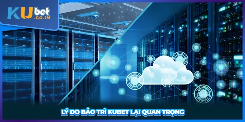 Lý do bảo trì KUBET lại quan trọng